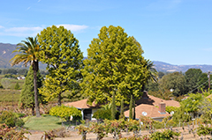 Old River Road, Ukiah real estate for sale, All NorCal Properties, Bud Thompson