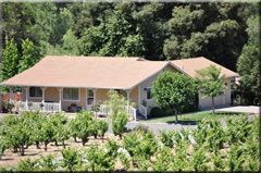 North Barnes Street, Ukiah real estate for sale, All NorCal Properties, Bud Thompson